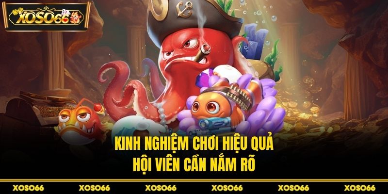 Kinh nghiệm chơi hiệu quả hội viên cần nắm rõ