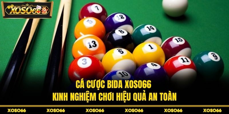 Cá cược bida